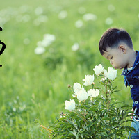 ���ױ������ԭ7��6������������ һ��ȫ����0���ģ�