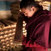 ����ȥ������֮·����2019ɫ��+��ľ��+�¸� 11��ƴ��������