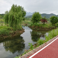 ����ʪ��