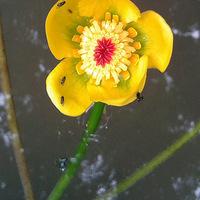 ��Щ���ǡ��ĳ桱��������֮�������