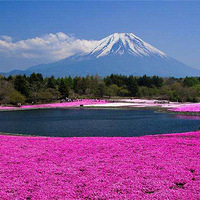 �߿���ѧ˫���գ���Щ����ˮƽ�߶��ֲ����߿��ɼ�����ѧ����