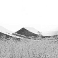 �ʼ��е֮�Σ���ׯ԰��֮�⡰����ר�ҡ���ʽר��֮�����޺���