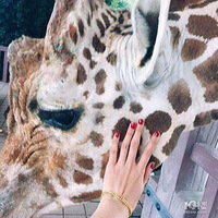 ��һ����Ұ������԰�ؼ�Ʊ