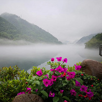 �°��������˼��ɾ�