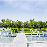 ������ҵ������δ�����������?�������ٰ�TOD��̬�������