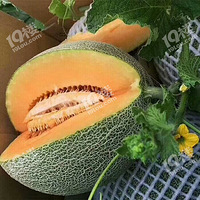 �����۹ϣ�����֮��