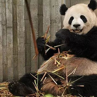 2019������У����������ת�����࣬�����㸺��