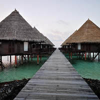 ���������������