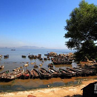 ������һ�������·�ߣ�ȥ�����ӱ���Ҫ��ĵط���