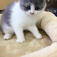 �������������ӡ��޻��Ǳ���һ����