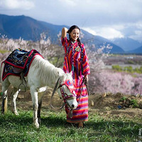 �����Ƕ���ɫ�+����+���+��ľ��+�ɿ�����+����aaԼ�鴿��