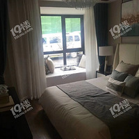 �����׸�36����סլ