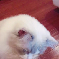 è˭ܵ