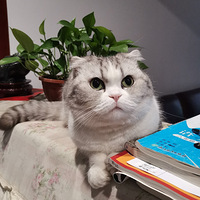 簲(^O^)!