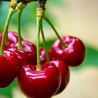 ���������ڡ���������˵������ô��