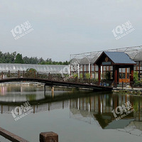 ���ȳ�ʲô��