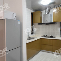 ��Ҷյ�����