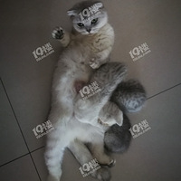 Сè�����ˣ�Ҫ���¼�