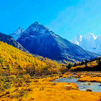 ������ƴ�����ԣ�������ƴ����Ҫ����Ǯ ��