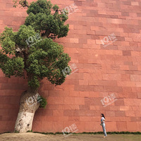 ����ѧԺ��У��������������С���С�����Ҳ������������