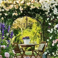 �����������Ļ�԰