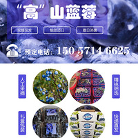 �����������̬��ɽ��ݮ�������У��ظ������л���Ӯȡ���װ