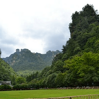 �żҽ��������