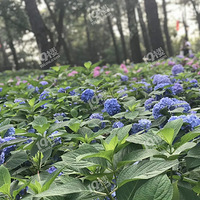 ���򻨿����䣬�����ƾ�����