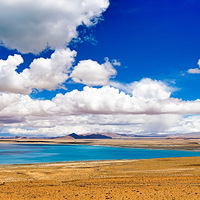 ������+����ߡ�ԽҰ/ƴ��/���ˡ�6��12��18��21��29��