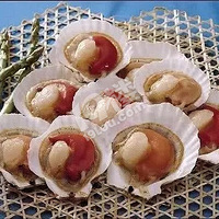 ��ʯ�ނ������ݰ����գ�