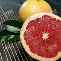 Ҫ����  ������