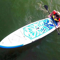 �ļ�������ˮ�ϱ�����  ˮ��������������  ���ִ̼�ˮ��