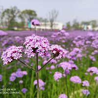 ���ӻ��ȥ��