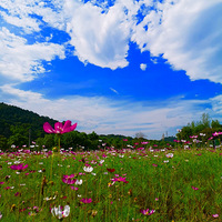 �߽���ˮ��ɽ�������޾���񷡪����侺��ǿ�Ӫ��