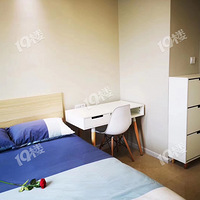 ��һ·������·����ɭ���ö��׵�����⣬��С��ѡ���۸�1600