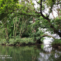 �������� �Ƚ�����ĵط�