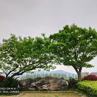 ���¡���÷�ǹ���