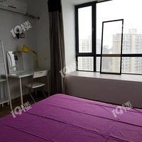 ���׼�԰����