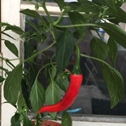 �������,����Ψһ