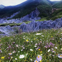 ʲôʱ��ȥ��������Ư������ٰ����Լ��⳵ȥ��������ô��