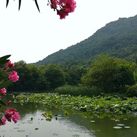 �������Ļ�