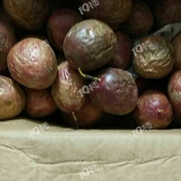 �������Խ��Խ��Խ�ó�Ŷ