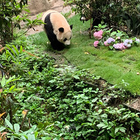 �Ĵ��ɶ�����û�����ĵ�ʱ��������