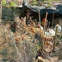 �߿�ר���Ż�ס���.��һ��