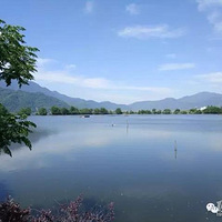 ���������ǧ����ʯ�־�����÷���������ŷ�����������