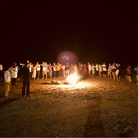 �������ν���Ⱥ