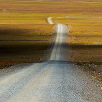 �п�������ȥһ�����ذ���