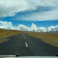 219����  �²���  ƴ������  �Լ��ι���