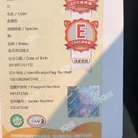 �ھ�Ȯ��� ���� ��ë��