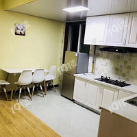 ʩ�һ�԰�������� 2